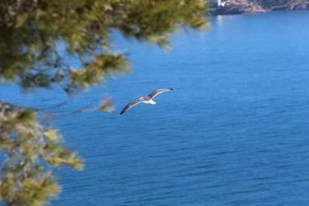 Apartament El Barco Benidorm Zewnętrze zdjęcie