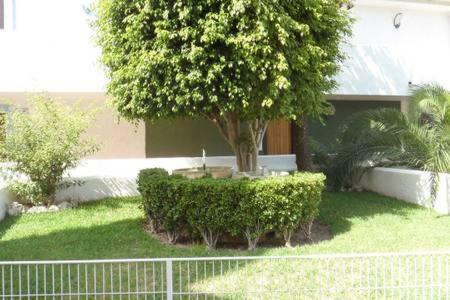 Apartament El Barco Benidorm Zewnętrze zdjęcie